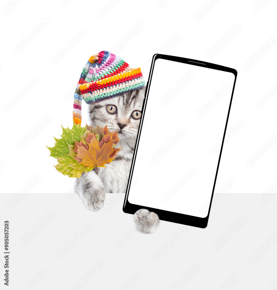 Aufkleber funny kitten wearing warm hat with pompon holds dry autumn leaves and shows smartphone with white bl