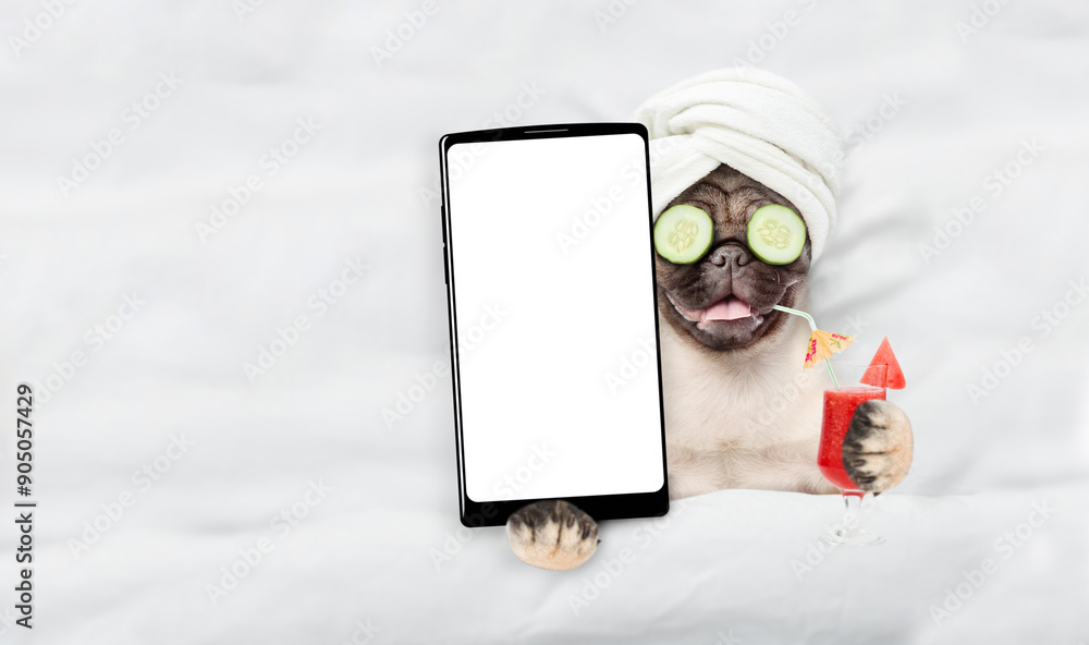 Fototapete Happy Pug puppy with towel on it head and with a pieces of cucumber on it eyes relaxing on the bed at home and showing big smartphone with white screen in it paw. Top down view. Empty space for text