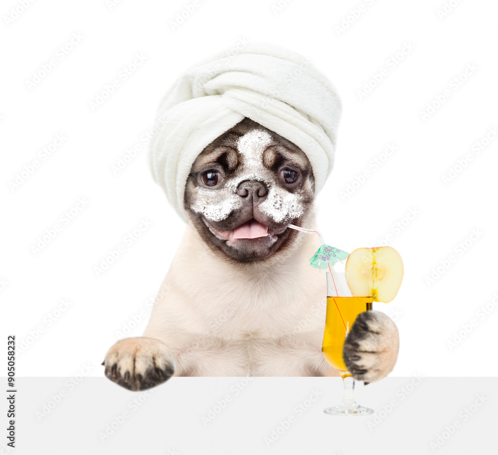 Poster funny pug puppy with towel on it head, with cream on it face looks above empty white banner and drin