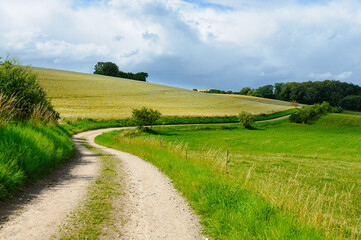 A serene pathway meanders through vibrant fields, framed by lush greenery and a dramatic sky, inviting exploration and reflection in nature's embrace.