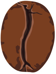 Arabica or Robusta Coffee Bean Roasted Isolated on White Background