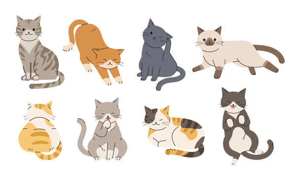 A collection of illustrations of cats in various poses.