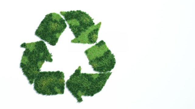 Growing plants on white background in the shape of recycling icon animation. Growing mix of green bushes shaped of recycle symbol for copy space, ecology, environment protect, renewable promotion.	