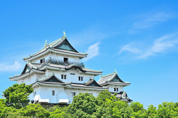 和歌山城天守閣の風景　和歌山県和歌山市
