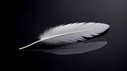 Obraz premium single white feather resting on a reflective, dark surface
