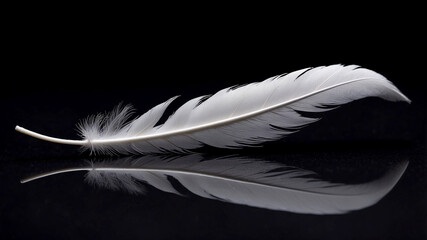 single white feather resting on a reflective, dark surface