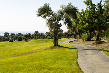 Golf teeing ground in golf course with sunrise background.