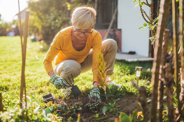 Happy senior woman gardening in her yard. She is is planting a flower.	