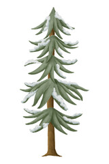 Snowy pine tree png sticker, Christmas illustration, transparent background