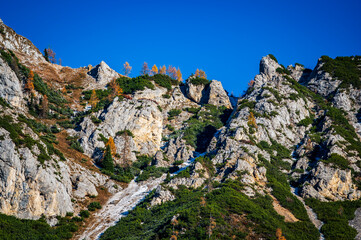 Val Pesarina immersed in autumn atmospheres. Among woods and the ancient Orias stables.