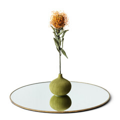 Orange pincushion Protea in a round green vase on a shiny tray design element
