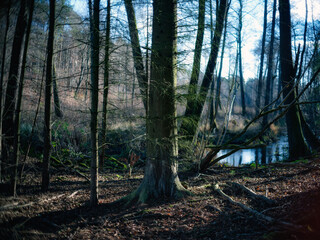 Węgorza Brzeźnica rzeka