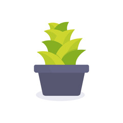 Obraz premium Succulent Plant minimalist vector illustration ,simple transparent graphic element .Isolated on white background
