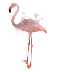 Pink flamingo illustration watercolor style