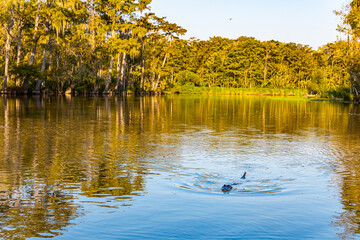 The Mississippi Basin