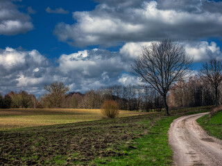 Polna droga donikąd