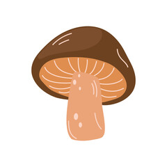 Mushroom vector Illustration isolated on a white background.