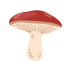 Russula mushroom. Red cap fungi, autumn forest food plant. Gilled fungus. Fall russule icon. Botanical flat graphic vector illustration isolated on white background