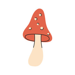 Amanita mushroom. Fly agaric, white spotted red mushrooms and forest toadstool vector illustration 