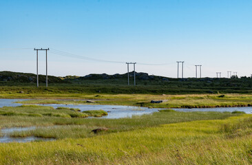 Power electricity lines crossing a grassland landscape with ponds and wetland