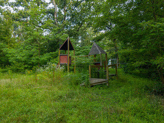 Verwilderter und zugewucherter Spielplatz im Wald