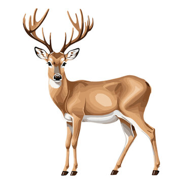 Cute Deer Clipart image 