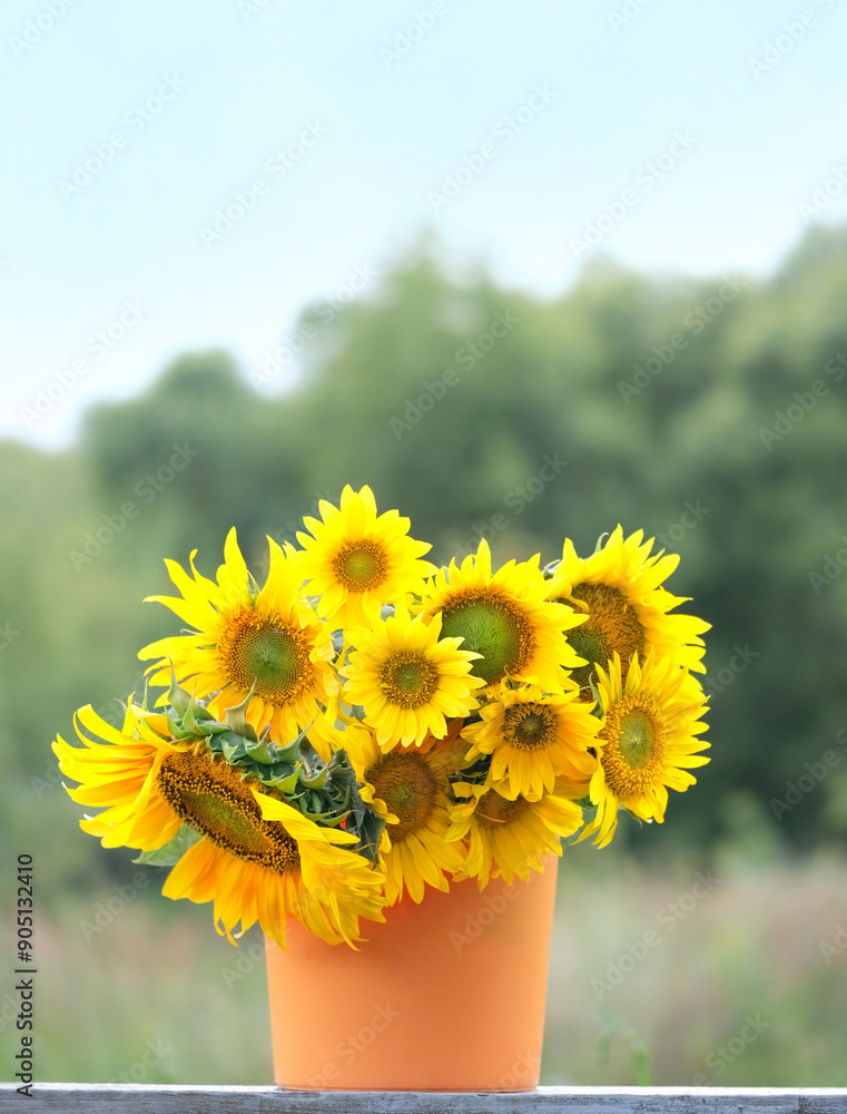 Wall mural blossom yellow sunflowers in orange bucket outdoor, abstract natural background. symbol of summer se