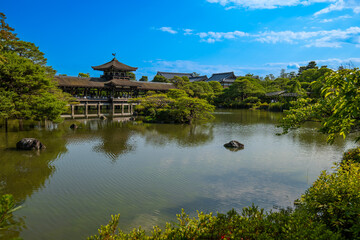 日本、京都、平安神宮、神苑、花菖蒲、泉回遊式庭園