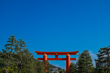 日本、京都、平安神宮、神苑、花菖蒲、泉回遊式庭園