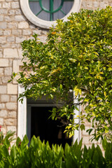 The Church of St Peter and the Dominican Monastery in Stari Grad, Croatia