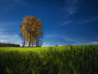 Jesień na polu © Robert