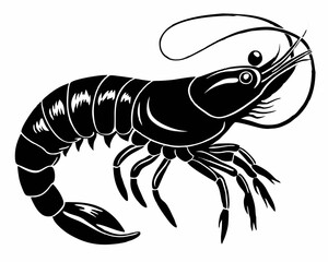 illustration of a shrimp sketch coloring page