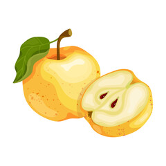 Juicy yellow apple and ripe pieces of fruit. Vector graphics.