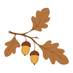 Oak branch with leaves and acorns, brown colors drawing. Isolated on white background. © MarhaRyta