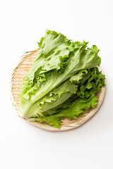 白背景にグリーンリーフレタス