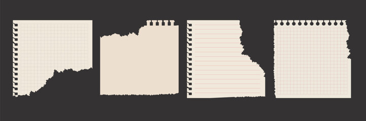 Set of notebook sheets. Torn paper and scraps of a notebook page with uneven edges. Isolated vector illustration.