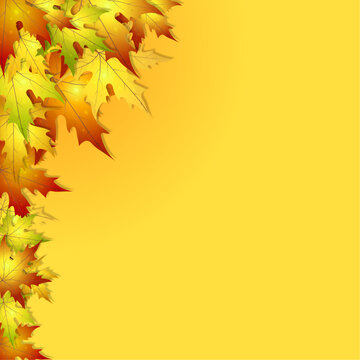 Autumn background for designs. Backgrounds for postcards, banners, posters, postdates, invitations. Background with autumn leaves