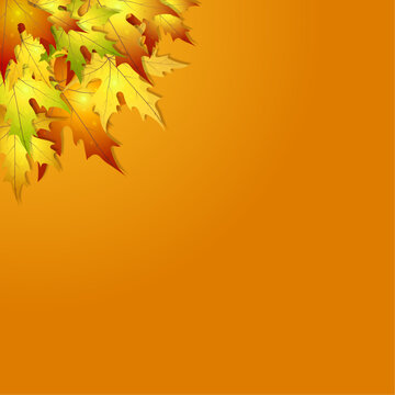 Autumn background for designs. Backgrounds for postcards, banners, posters, postdates, invitations. Background with autumn leaves