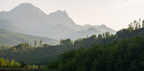 Am Almsee Wald mit toten Gebirge Panorama