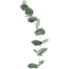 Gradient greenery, foliage element