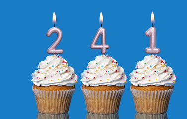 Birthday Cupcakes With Candles Lit Forming The Number 241
