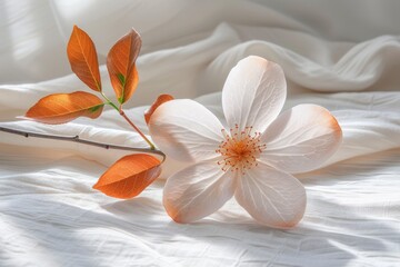 Fototapeta premium Vibrant cluster of orange flowers against a soft-focus background, highlighting nature's vivid colors and textures.