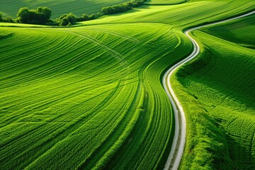 Fototapeta premium Softly Lit Aerial View of Abstract Farmland Landscape