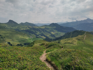 Obraz premium Wunderschöne Berglandschaft im Bregenzerwald in Vorarlberg
