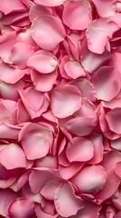 Fototapeta premium An allover texture of pink petals. Pink background of rose petals