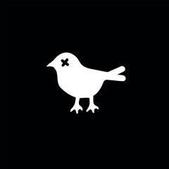 white bird isolated on black