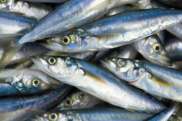 Obraz premium Top view of sardines in a chaotic arrangement