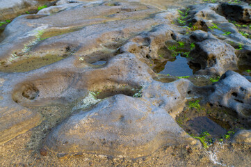 coral rocks on the beach