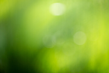 Obraz premium Abstract colorful nature gradient blurred background. Summer banner. Digital Grain Noise Texture overlay. Multicolor vintage retro design. Vibrant Texture Wallpaper,design,graphic and presentation