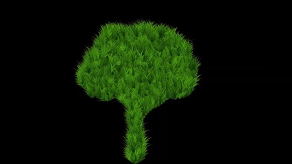 Fototapeta premium Beautiful illustration of tree shape with green grass effect on plain black background